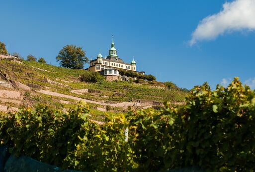 Immobilienmakler Radebeul – Wohnen in den Weinbergen