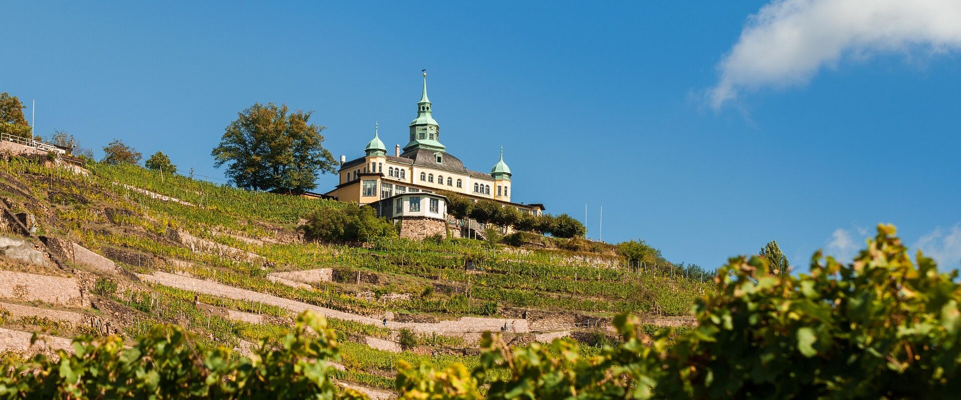 Immobilienmakler Radebeul – Wohnen in den Weinbergen