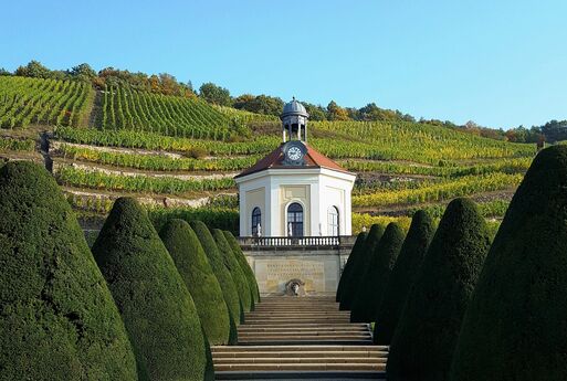 Immobilienmakler Radebeul – Wohnen in den Weinbergen